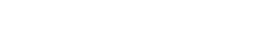 Asnyka 41